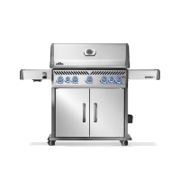 Rogue PRO-S 625 (стальной)