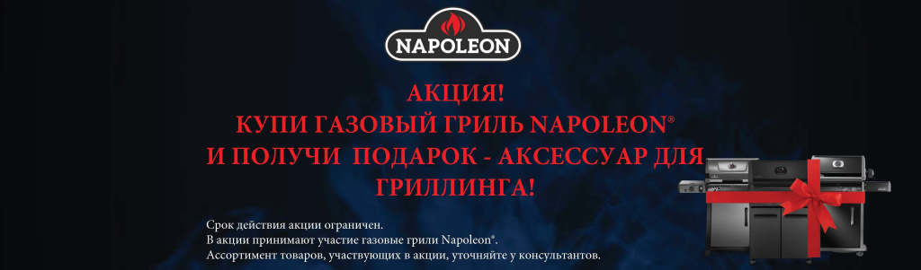  Новогодняя акция на газовые грили Napoleon