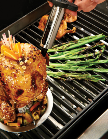 Шприц для маринада Broil King