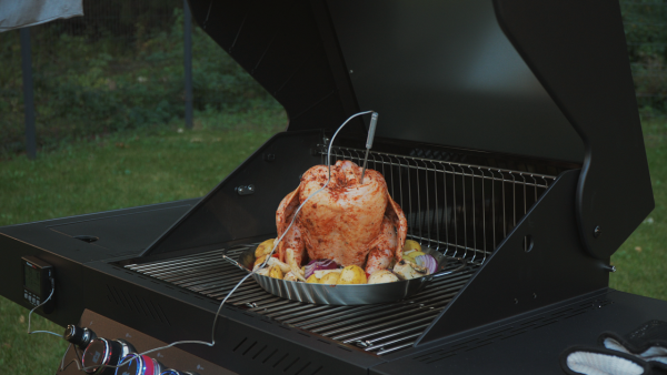 Ростер для курицы PRIMELINER