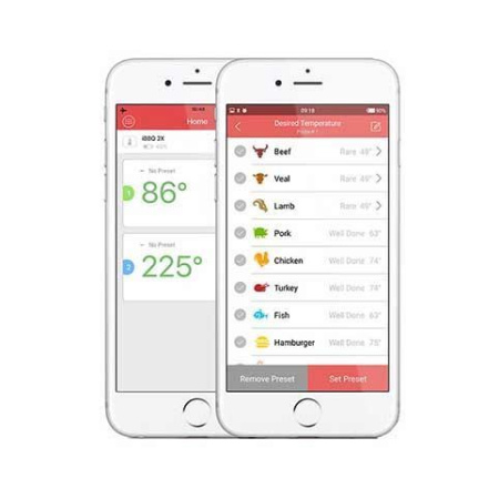 Цифровой термометр BlueTooth InkBird IBT-2X