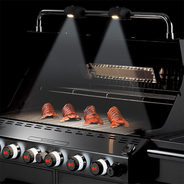 Гриль газовый Weber Summit E-670, GBS черный/нержавеющая сталь
