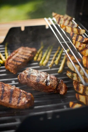 Гриль газовый Spirit E-215 GBS, черный