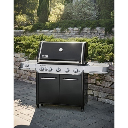 Газовый гриль-барбекю Weber Summit FS38 E