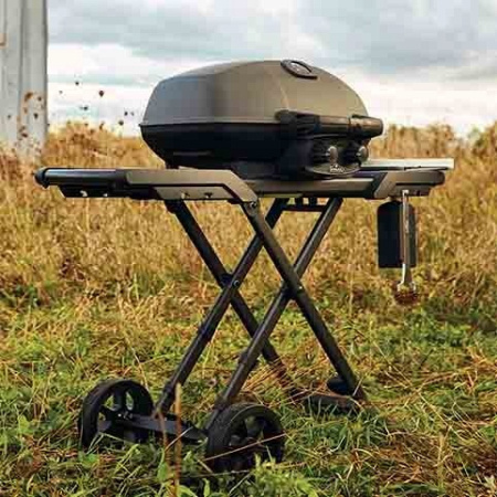 Гриль Napoleon TravelQ PRO 285X Phantom